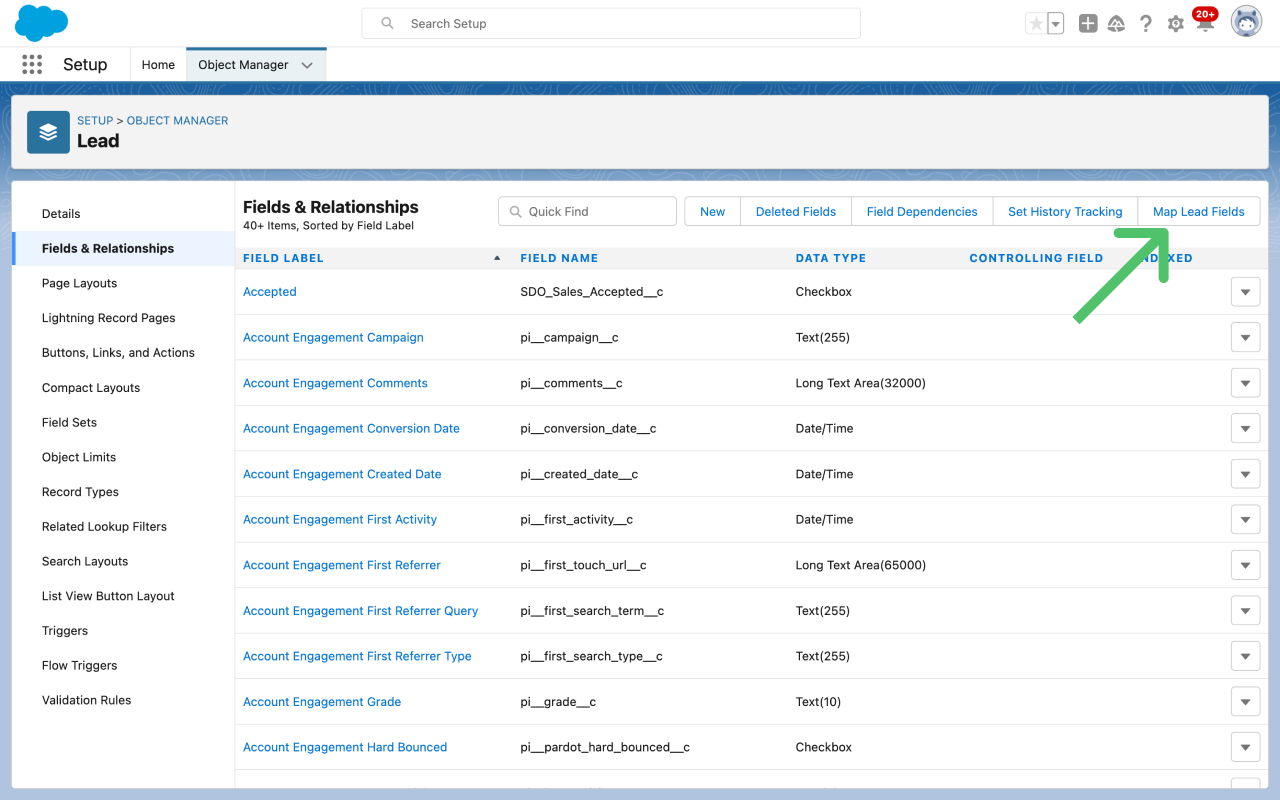 Mapping Lead Fields in the Salesforce UI