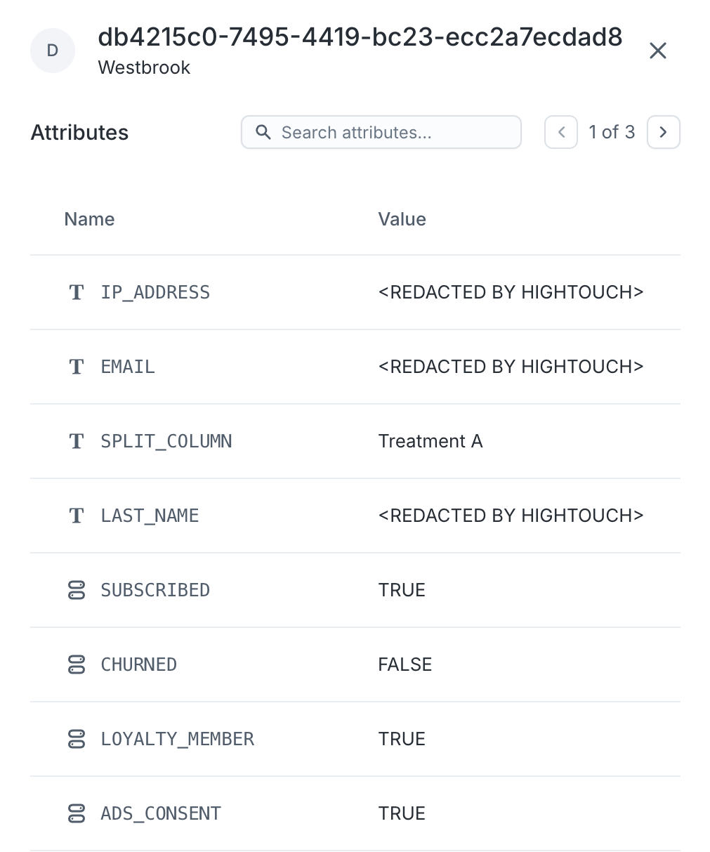 Previewing an audience member in the Hightouch UI